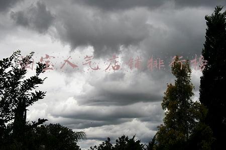 传奇人气排行榜(两大传奇增强！坎贝尔削弱！实况足球国服人气票选最新结果解读)