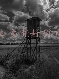 做生意好不好(好友合伙行不行？过来人讲一讲教训)