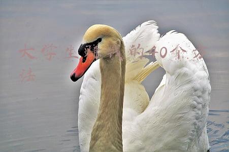 大学生赚钱的40个方法无成本(大学时期就能赚大钱？大学生纷纷寻找“高利润”兼职，其中有你吗)