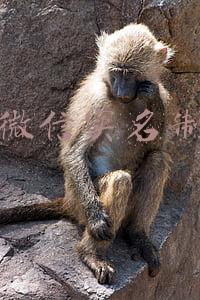 微信实名制