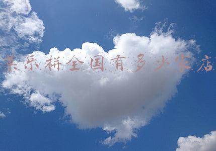 乐高积木哪里可以买-乐拼去哪买