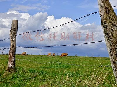 微信辅助解封要求条件(注意！这种二维码千万别扫！)
