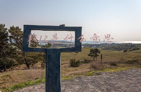双12是什么意思代表什么(“我的生命和书连在一起”)