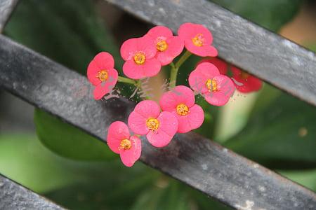 淘宝层级划分