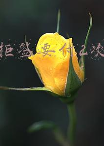拒签的快递 谁付运费(个人原因拒签商品发货邮费不肯承担说要差评怎么办？)