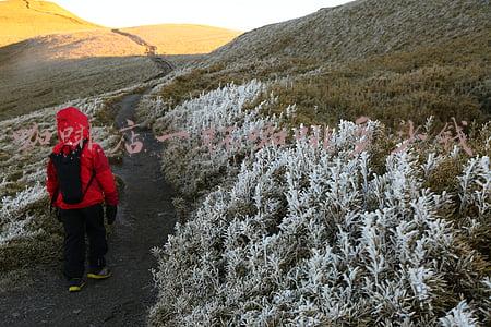 星巴克一天能卖多少_咖啡店一天卖多少杯咖啡