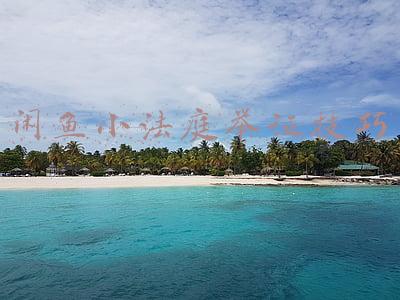 闲鱼小法庭举证提交后还可以改吗(闲鱼可以不接受退货？)