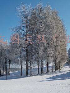 朋友圈卖鞋广告语