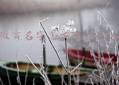 微商名字怎么更吸引人