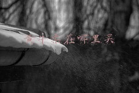黄牛票在哪里买
