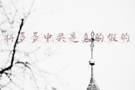 拼多多抽奖中手机是真的吗(拼多多0元砍手机，包邮送到家，老板钱多人傻？揭秘背后商业套路)