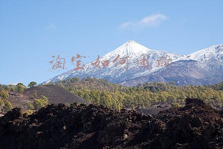 淘宝如何团购