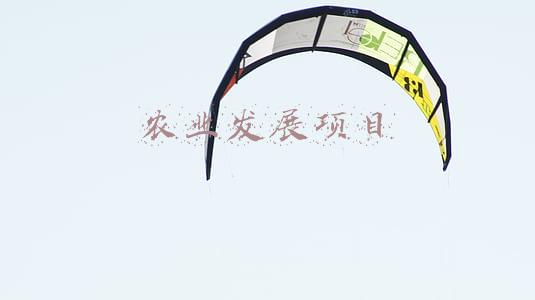 农业发展项目
