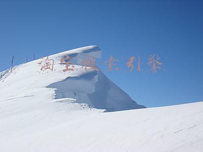 淘宝搜索引擎的原理以及算法(最新淘宝搜索原理“7天”引爆10000+流量~分享两大技巧)