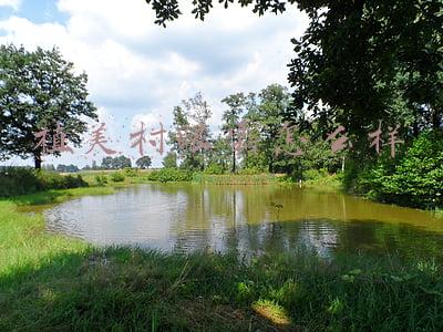 植美村眼霜怎么样