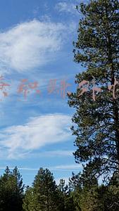 兼职赚外快的办法(本文将介绍十种赚外快的副业)