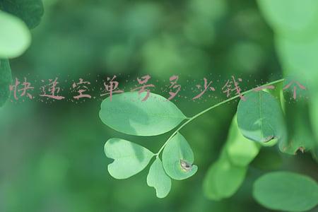 快递空单号多少钱一个