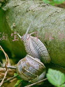 淘宝10年账单在哪里查(淘宝回忆录去哪看怎么看 淘宝回忆录怎么搜在哪里查询)
