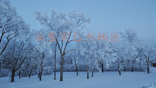 淘宝不包邮地区