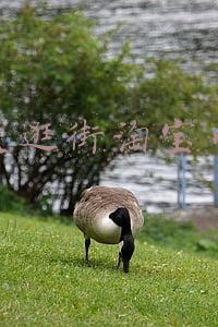 爱逛街淘宝网