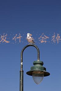 微信发什么会掉东西