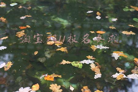 淘宝双11什么时候开始(天猫双11今晚8点开启，今年双11有十大变化)