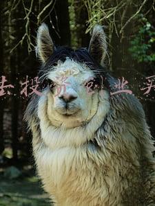 过去投资创业买卖
