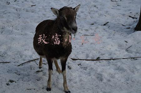致富小生意