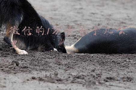 微信的1万步等于几公里