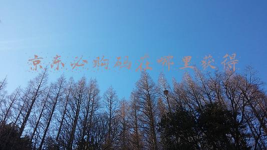 京东商城必购码怎么获得(17条京东618大促问答精选（侧重前期筹备）)