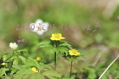 2020最畅销摆摊产品