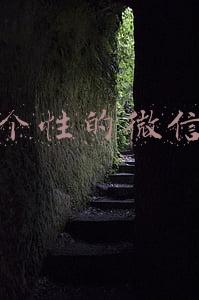 2021年最有个性的微信号(2021年微信视频号生态趋势调查报告)