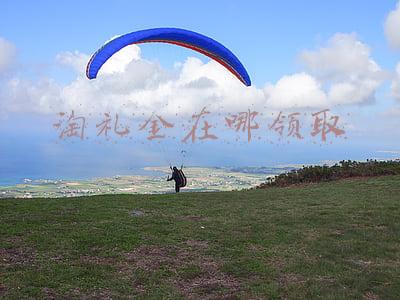 淘礼金在哪领取