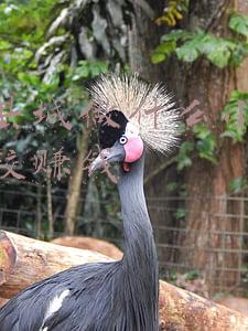 在小县城做什么小本生意比较赚钱