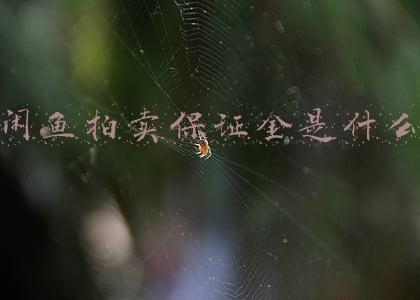 闲鱼拍卖保证金是什么