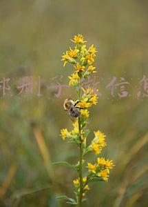 双方都删了微信怎么加