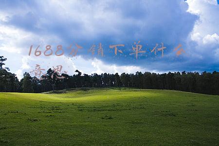1688分销下单什么意思
