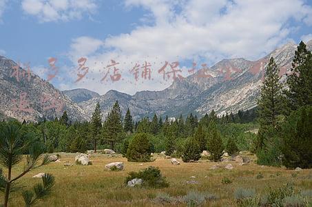 拼多多店铺保证金可以退吗