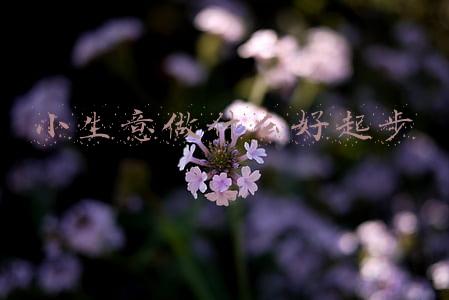 农村小生意做什么好起步(人人能做，一年能回本的农村小生意有哪些？)