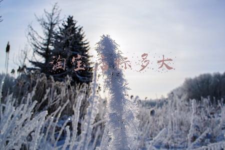 淘宝店标多大