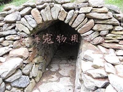 上海宠乐宠物用品有限公司(宠物医疗，成色几何？)