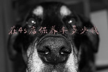 在4s店保养车多少钱