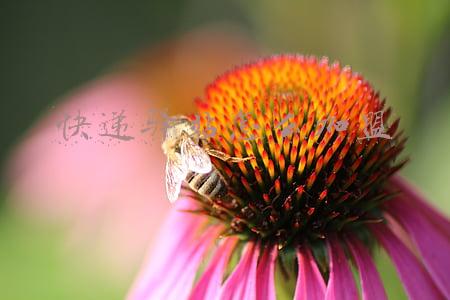 快递驿站怎么加盟多少钱(开家快递驿站的手续麻不麻烦？需要投入多少钱？)