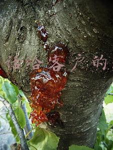 打电话给客户的技巧