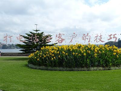 业务给客户打电话(不注意电话礼仪，这样接打电话可以吗？关于工作中如何接打电话…)