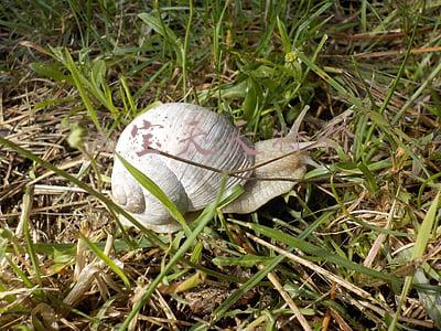 淘宝天天特价在哪里(「金洲鹏」淘宝天天特价要怎么参加？活动时长有多久)