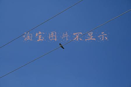 淘宝图片不显示