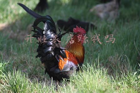 开睡衣店赚钱吗