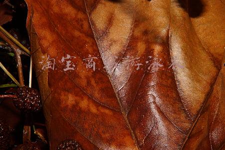 天猫淘宝商城游泳衣(盛夏光年，你不会还没选好貌美又显瘦的泳衣吧？)
