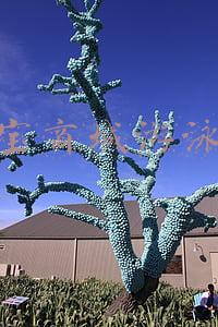 京东游泳衣(猫狗过节，掏空年轻人的钱包：美容500元，拍照花上千)